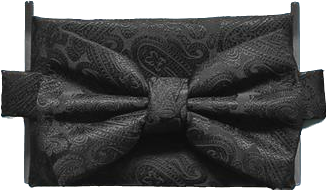 Black Paisley Wedding Bow Tie & Pocket Square Set